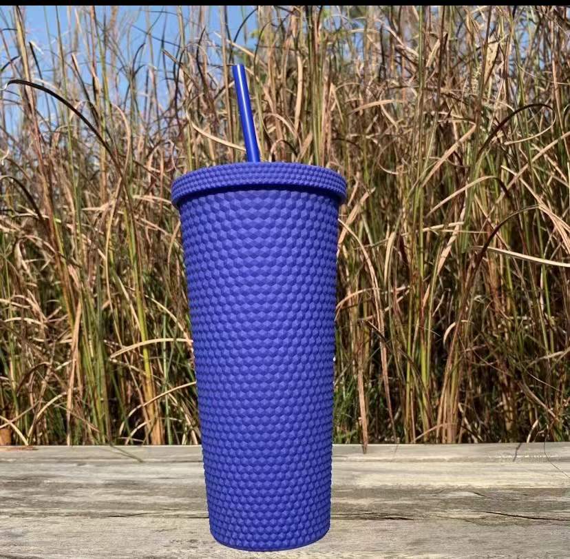 Outdoor Plastic Double Frosted Mug With Straw