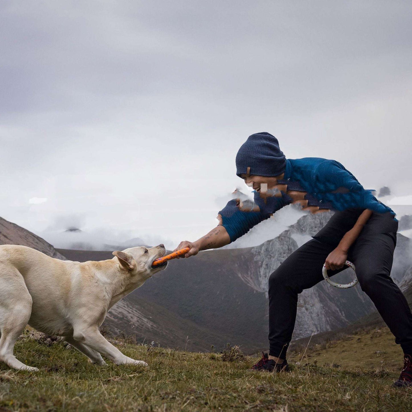 Bite-resistant Teeth Chewing Pet Supplies Toy Bite Ring Series