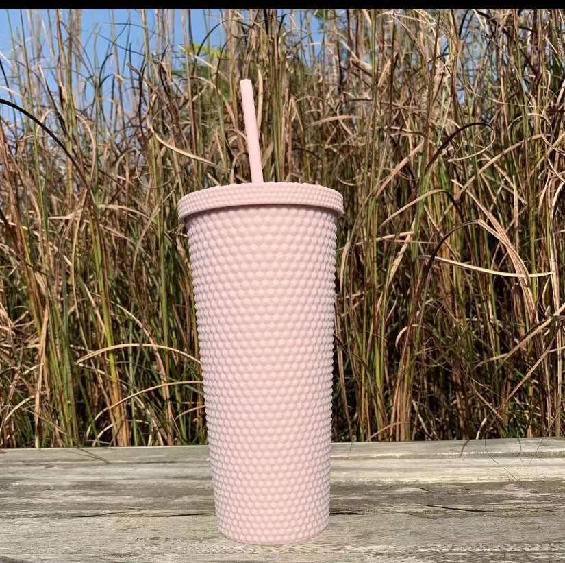 Outdoor Plastic Double Frosted Mug With Straw