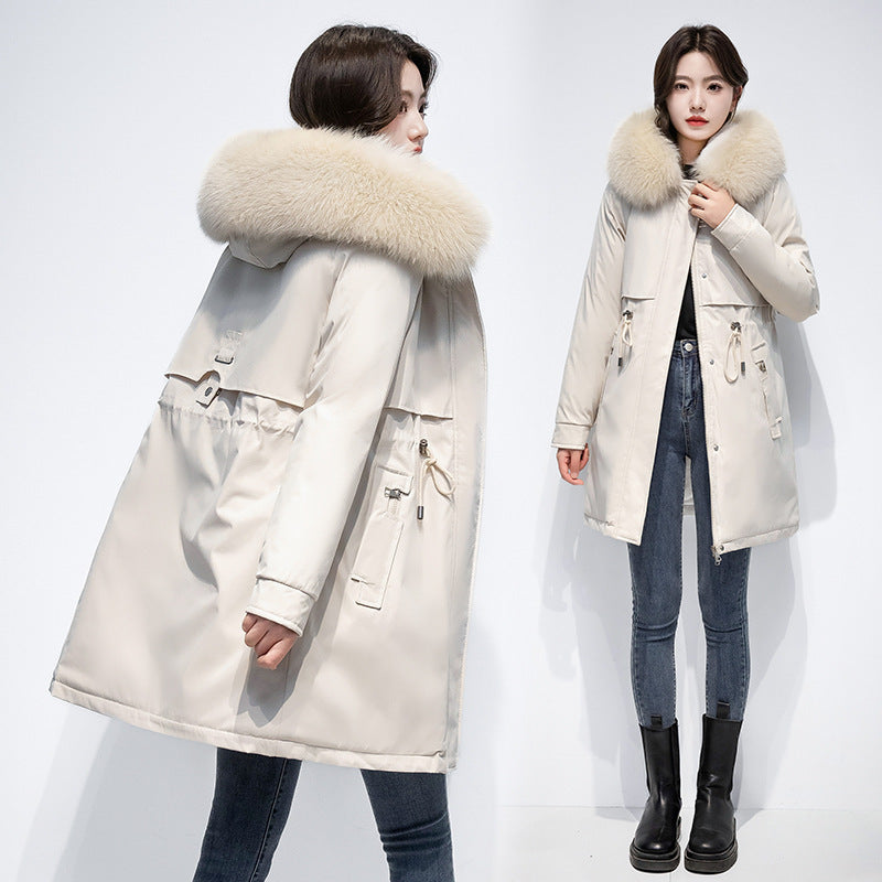 Women's Coat Winter Cotton-padded Jacket - globaltradeleader