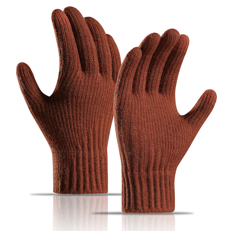 Winter Fleece Lined Padded Warm Keeping Knitted Gloves For Women