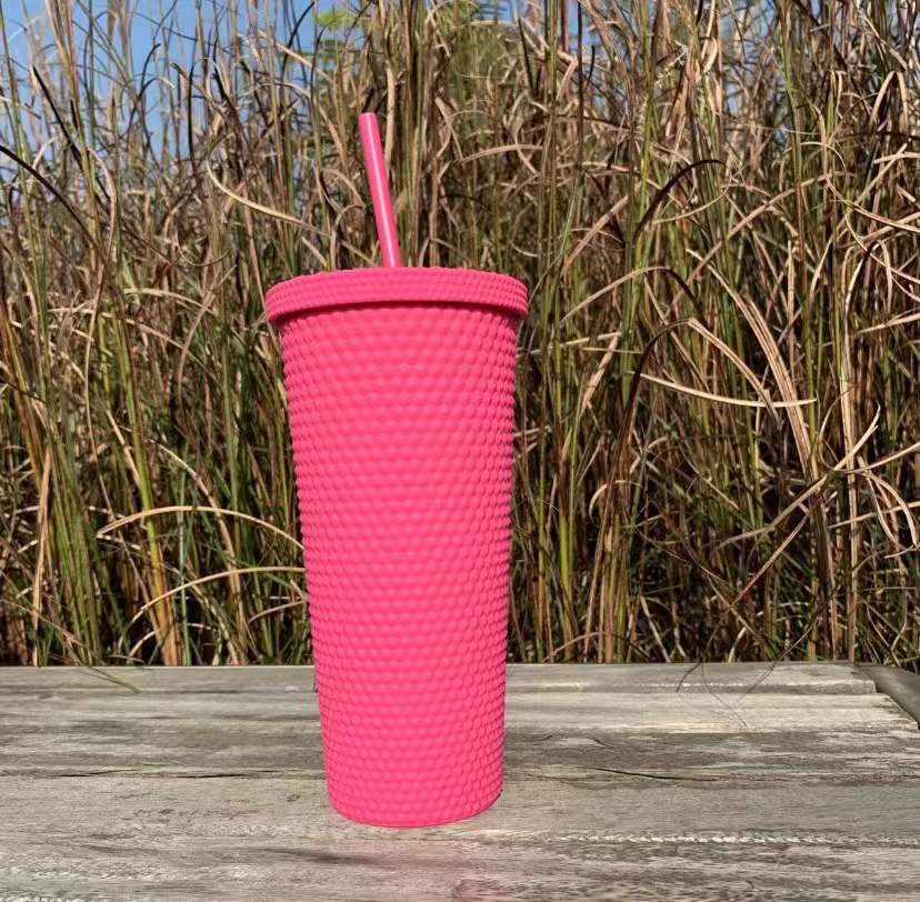 Outdoor Plastic Double Frosted Mug With Straw