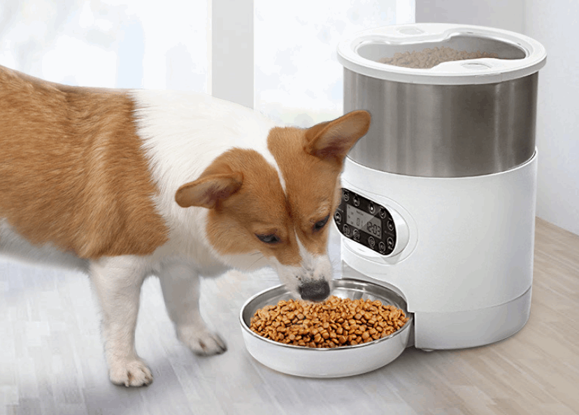 Smart APP Pet Feeder Cat And Dog Food Automatic Dispenser Stainless Steel Bowl Cats And Dogs With Recording Timing Feeding