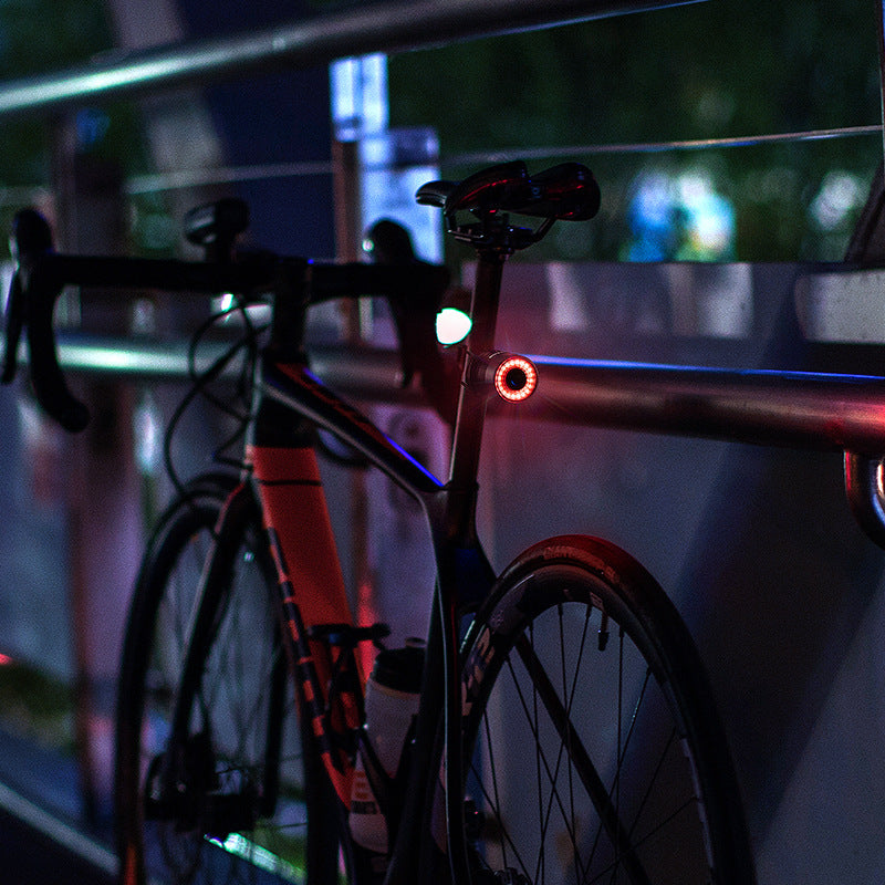 Intelligent Induction Brake Of Bicycle Tail Light