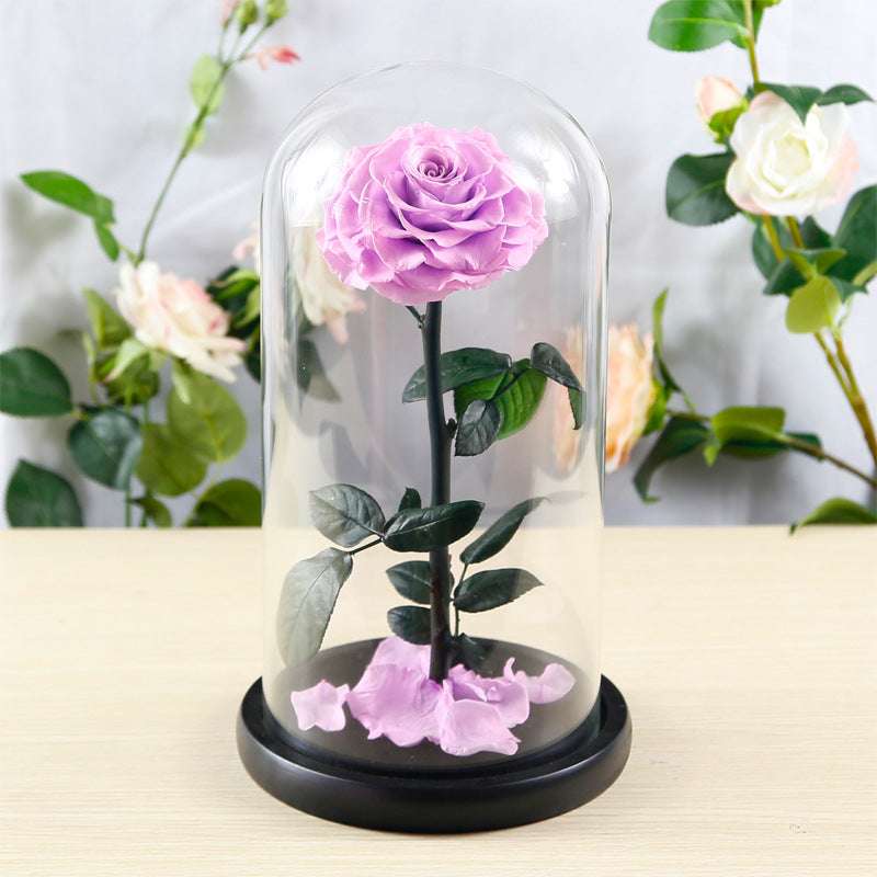 Preserved Flower Rose Finished Glass Cover Gift Box