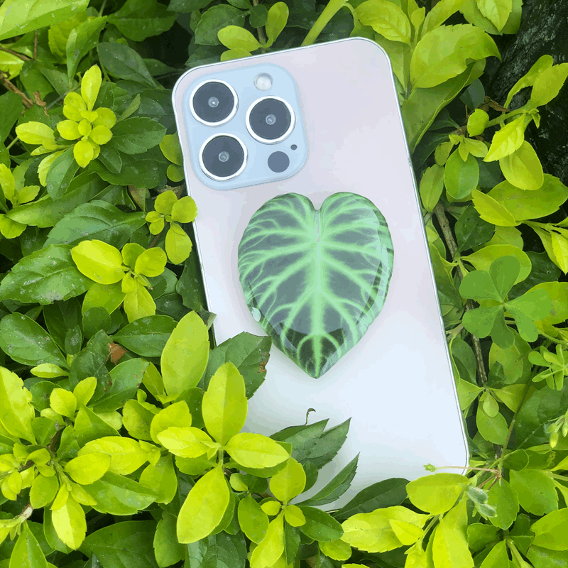 Cute Green Leaves Smartphone Holder Finger Stand Support For Phone Handband