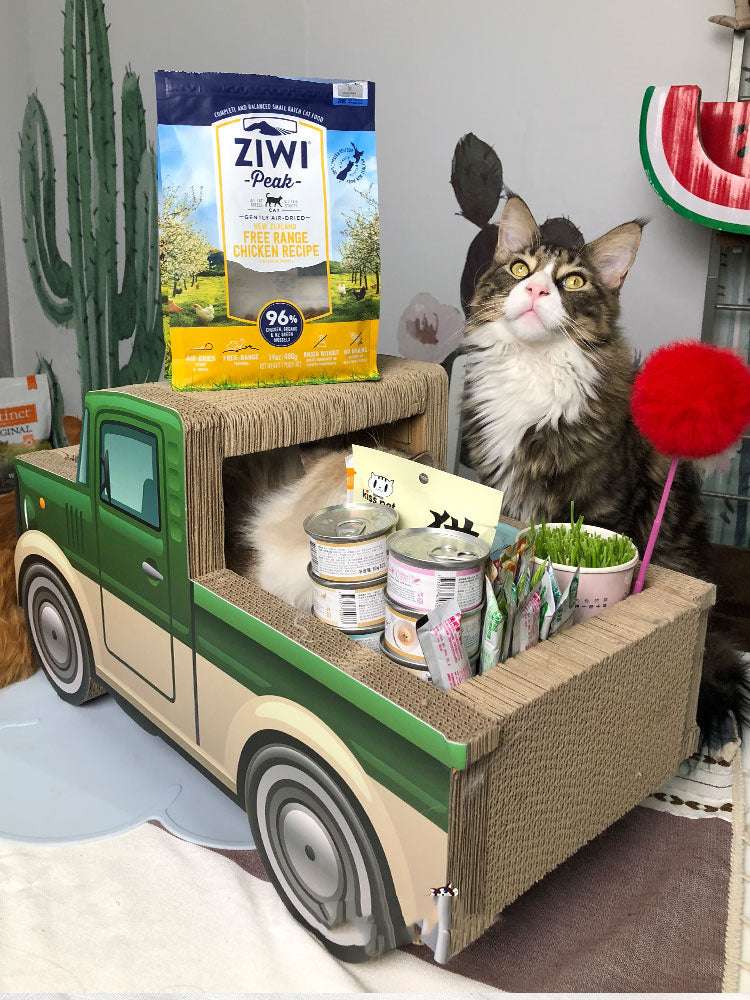 Green Pickup Truck Cat Scratch Board Extra Large
