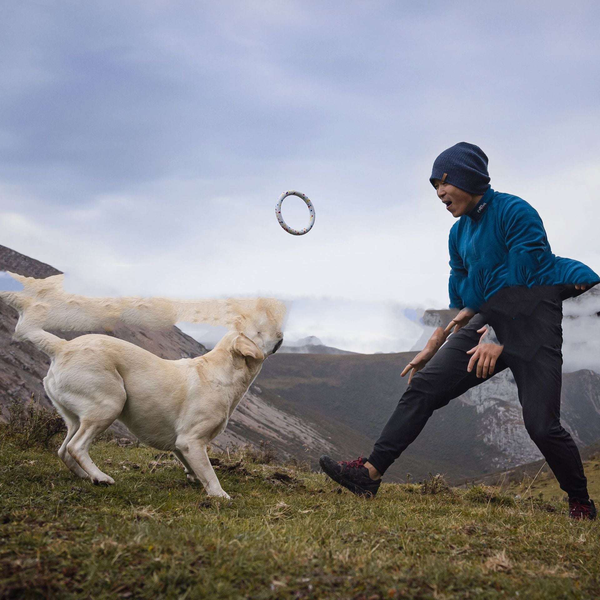 Bite-resistant Teeth Chewing Pet Supplies Toy Bite Ring Series