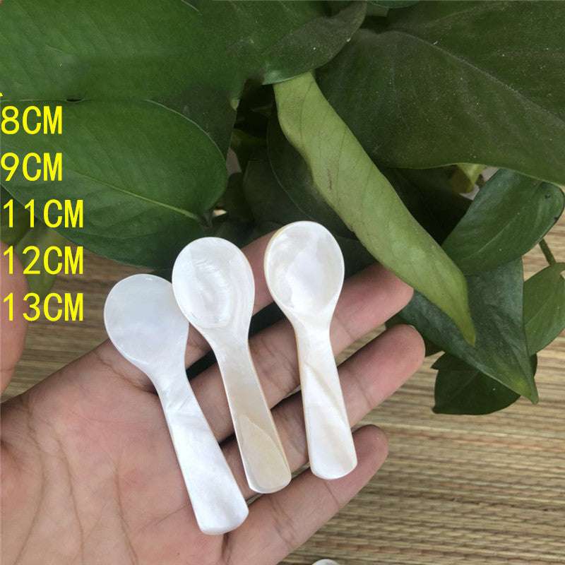 Conch Shell Children's Tableware Seasoning Spoon No Lacquer