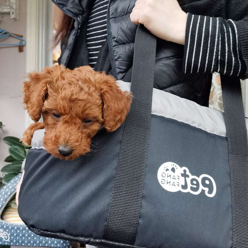 Dog And Cat Go Out Messenger Shoulder Bag To Keep Warm