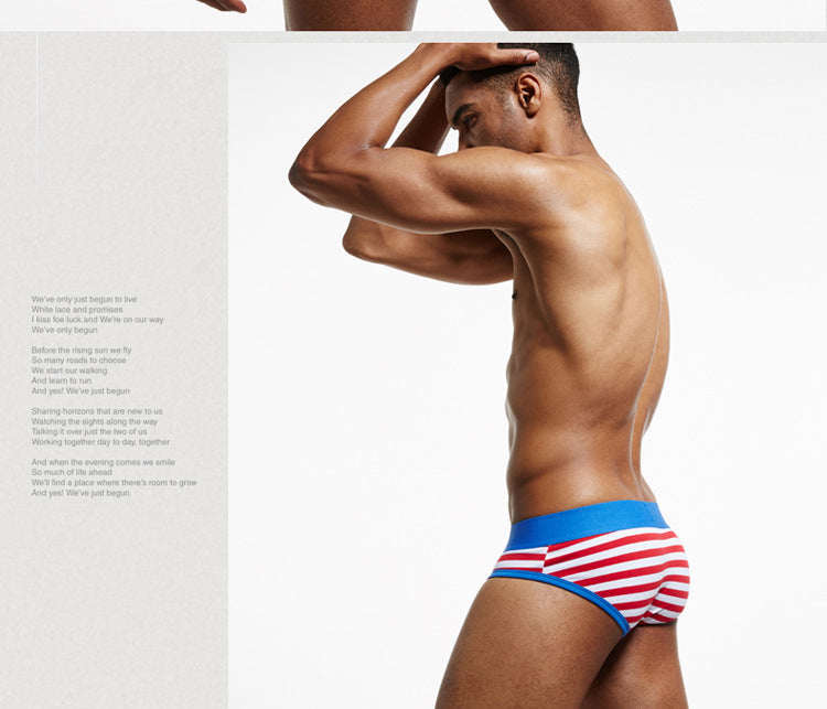 Men's Striped Combed Cotton Briefs