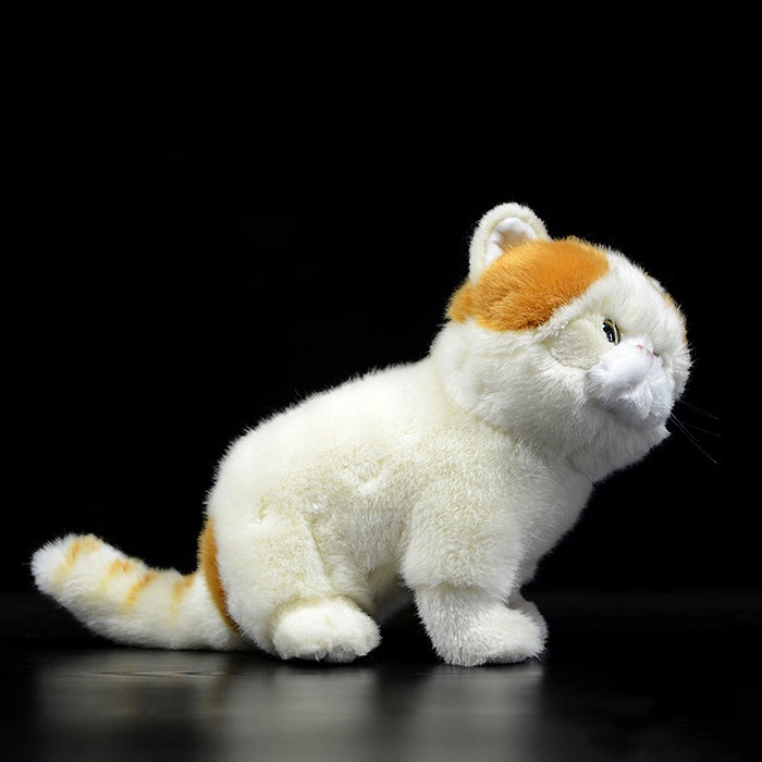 Exotic Shorthair Persian Cat Doll Plush Toy