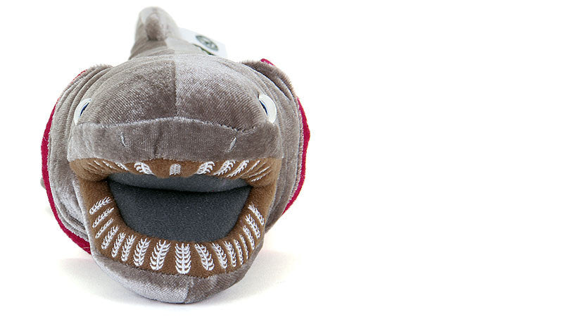 Cute Frilled Shark Doll Animal Plush Toy