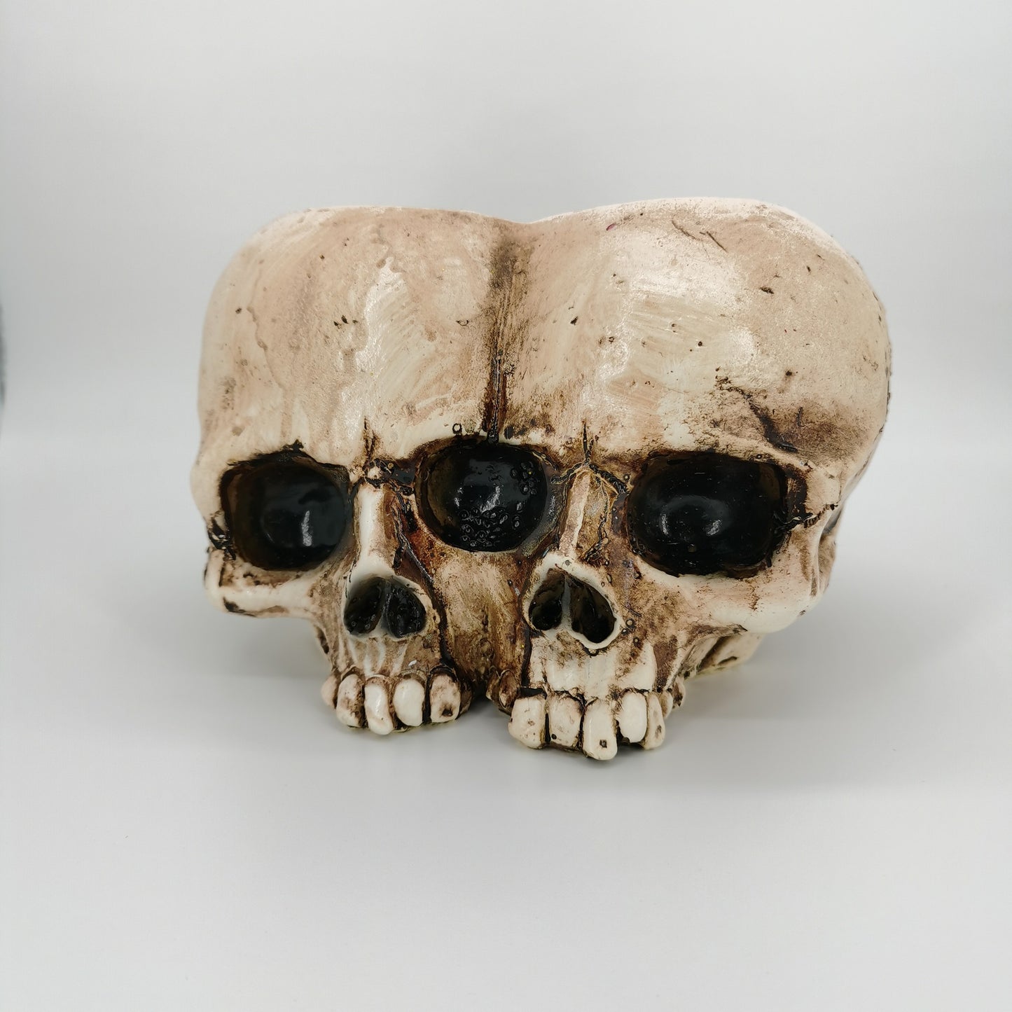 New Halloween Skull Resin Planter Ornament