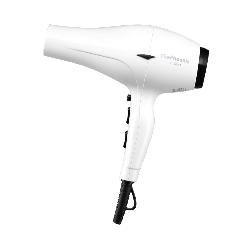 Hair Dryer Hair Stylist Special High Power Mute 2400W