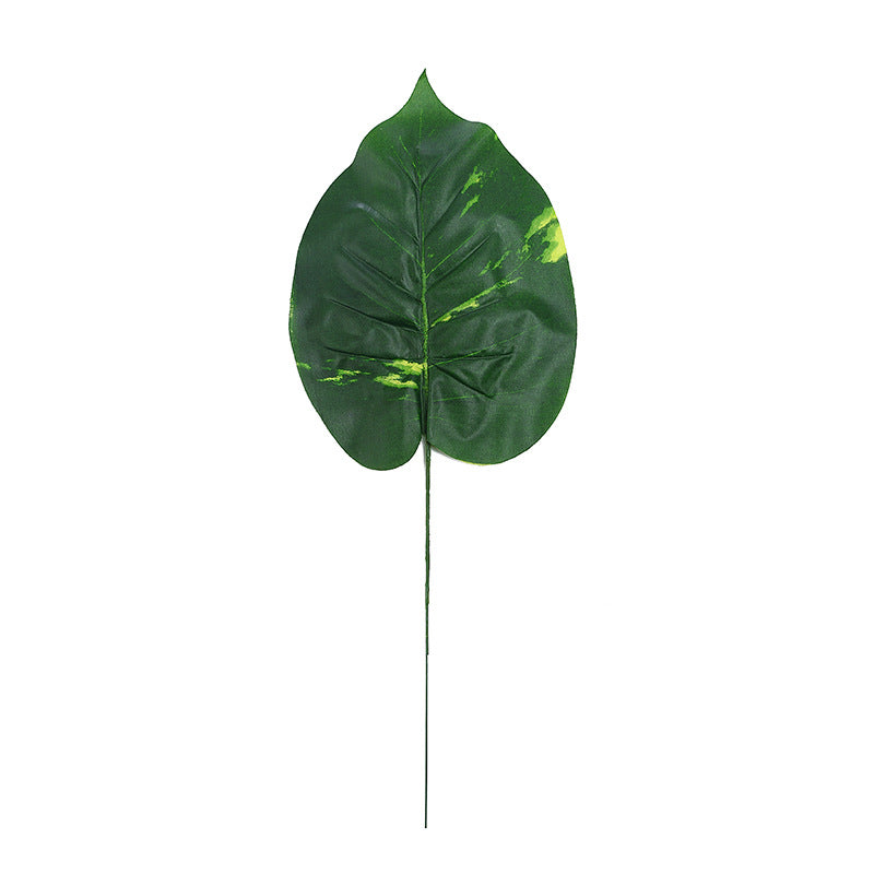 Turtle leaf simulation plant