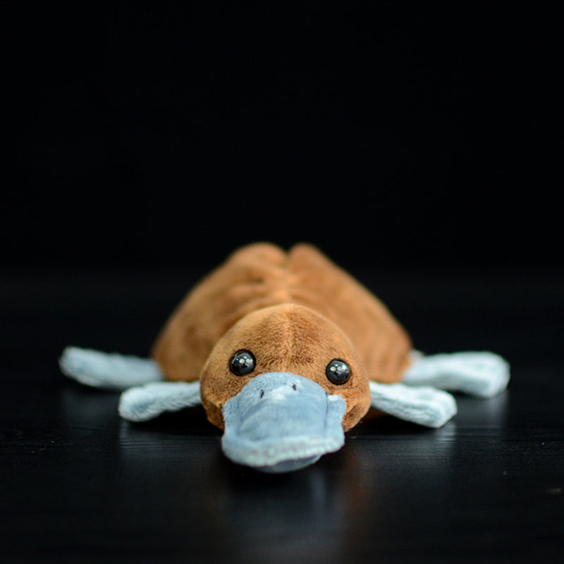 Platypus Plush Toy Children Cute Doll