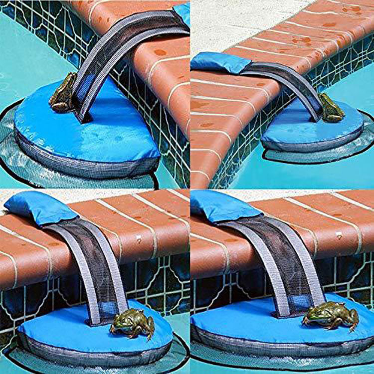 Swimming Pool Small Animal Rescue Swimming Pool Animal Escape Way Frog Net