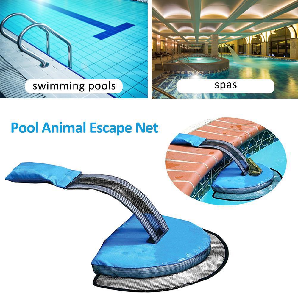 Swimming Pool Small Animal Rescue Swimming Pool Animal Escape Way Frog Net