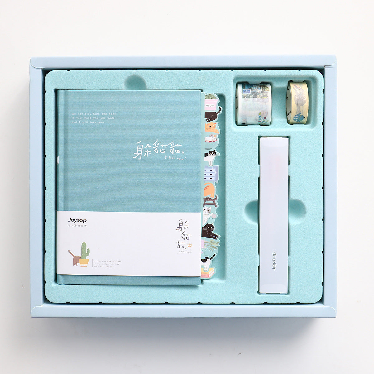 Peekaboo Gift Box Hand Ledger