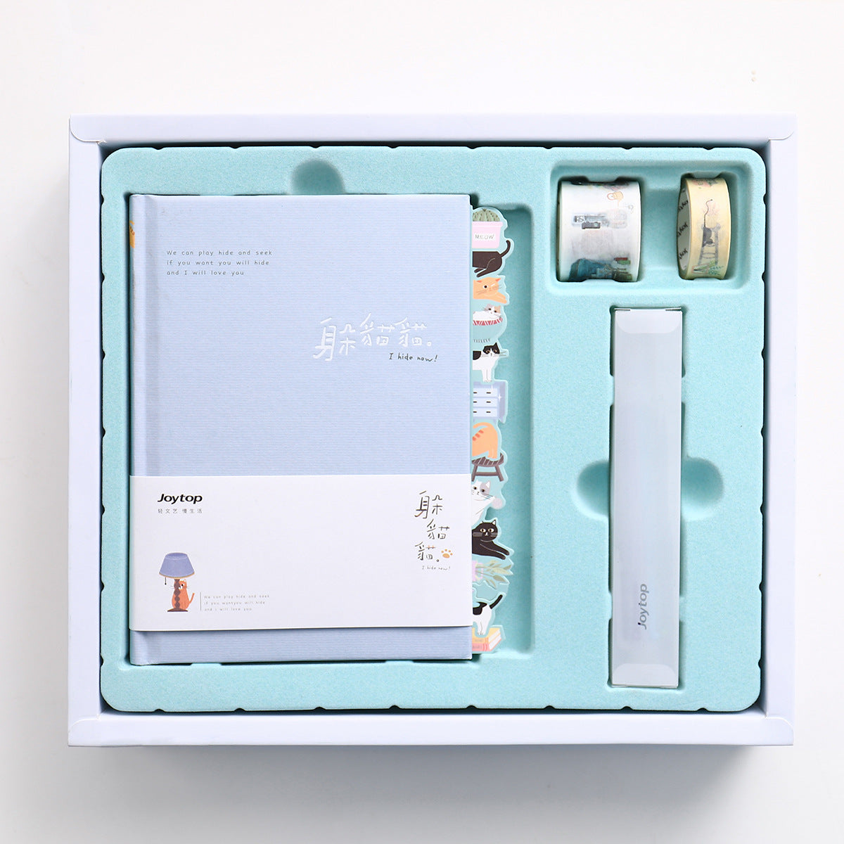 Peekaboo Gift Box Hand Ledger