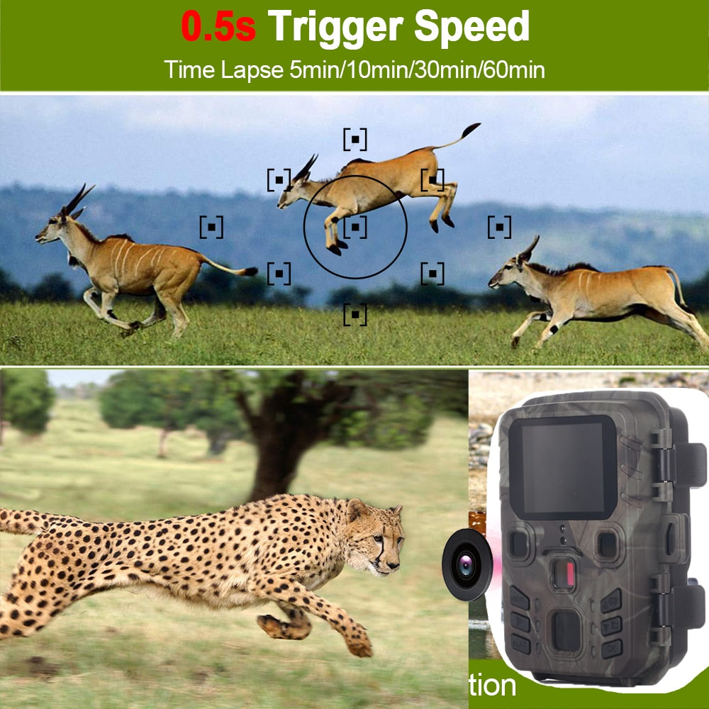 Monitoring infrared night vision device