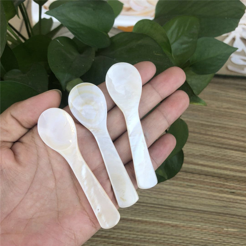 Conch Shell Children's Tableware Seasoning Spoon No Lacquer
