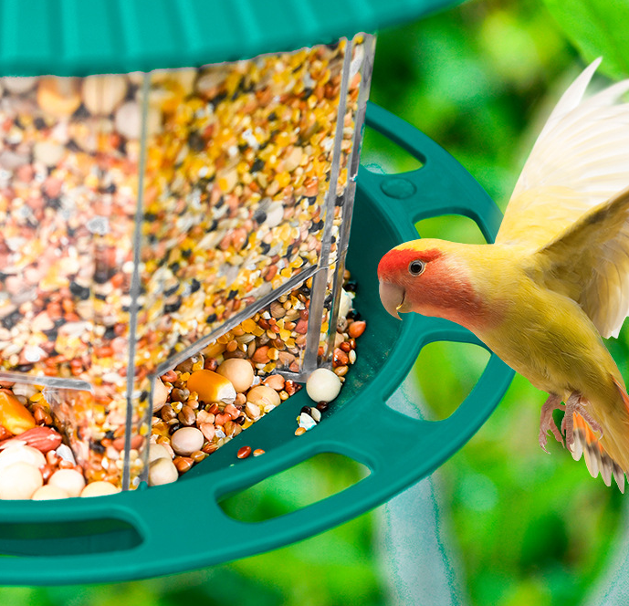 Outdoor Garden Hanging Transparent Bird Feeder