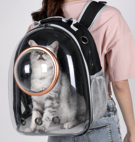 Going Out Cat Carrying Bag Supplies Box School Dog Backpack