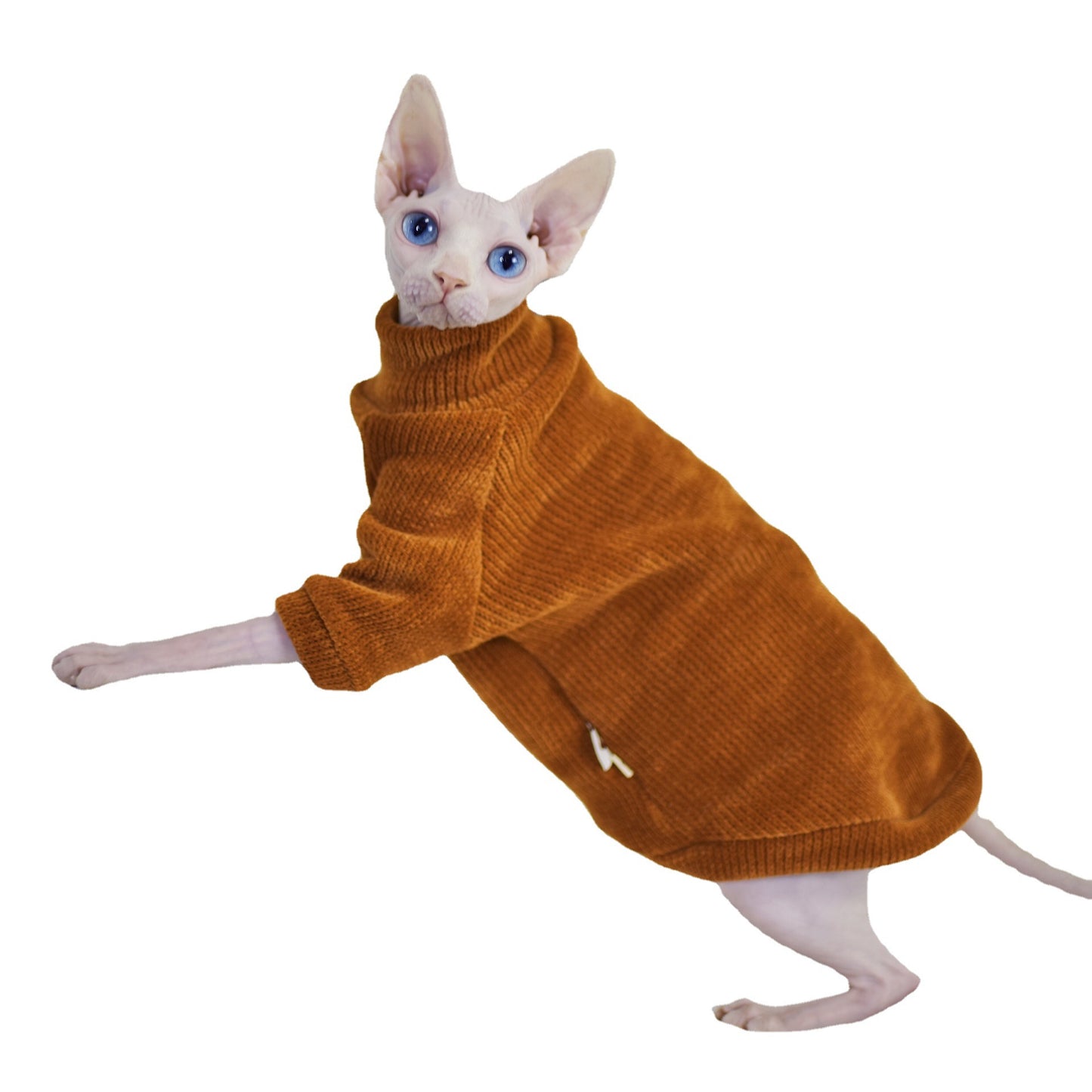 Chenille Hairless Cat Clothes Thickened In Winter