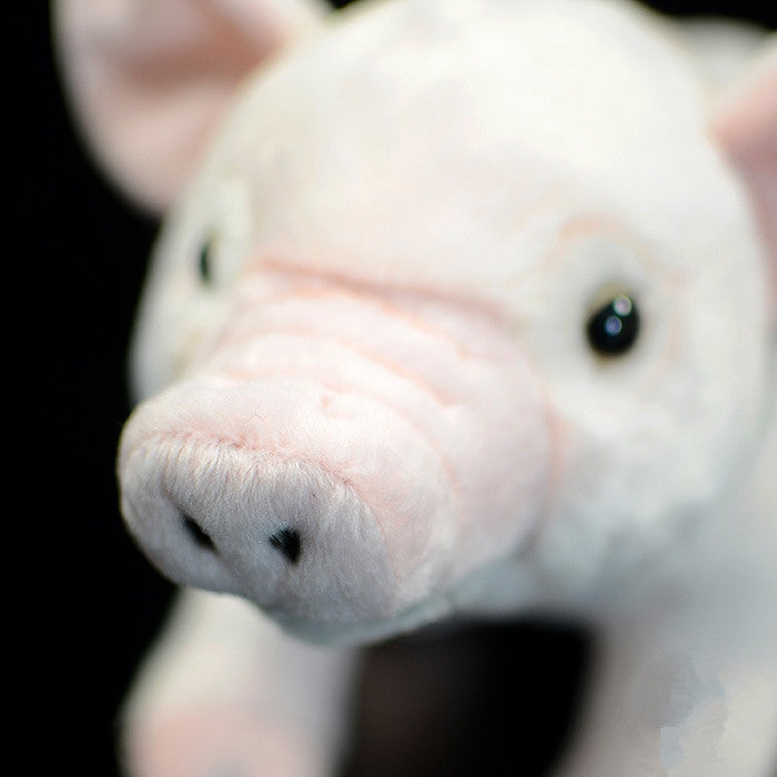 White Cute Domestic Pig Plush Toy