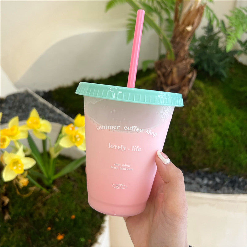 Niche Cartoon Summer Coffee Plastic Straw Cup