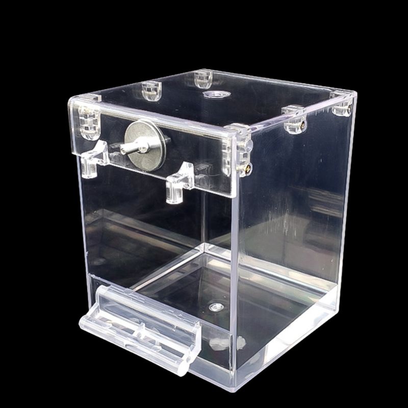 External Bird Bath Transparent Bath Square Basin Bird Supplies Pet Supplies