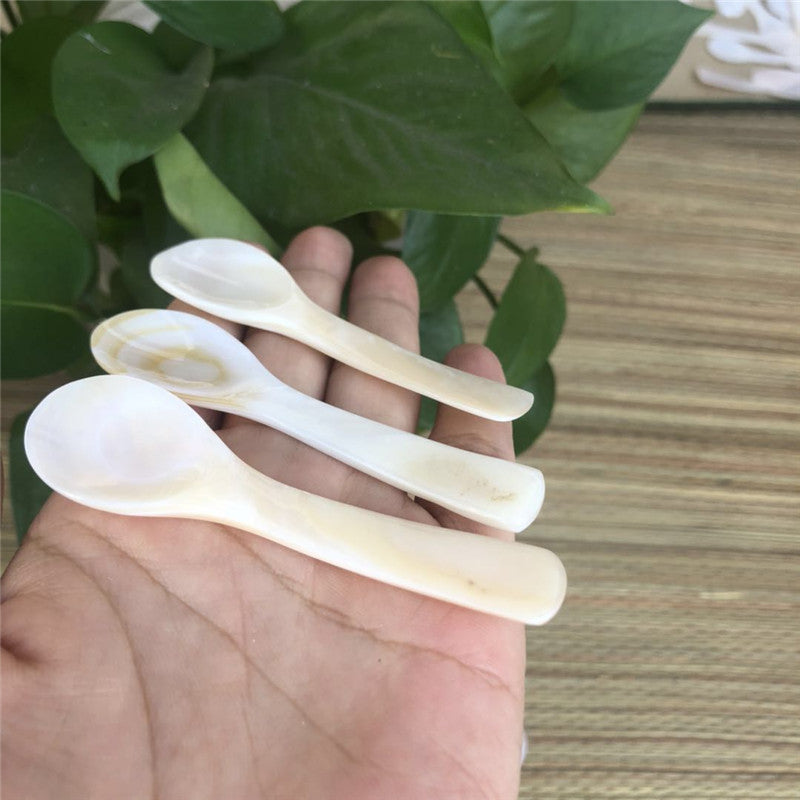 Conch Shell Children's Tableware Seasoning Spoon No Lacquer