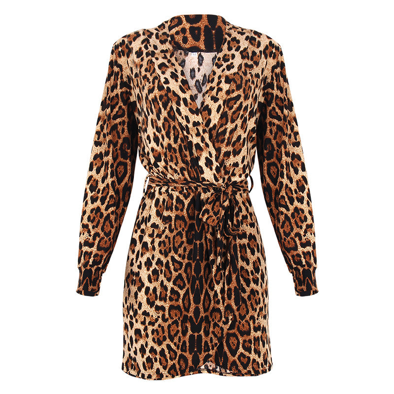 Leopard Print Long Sleeve V-Neck Irregular Dress