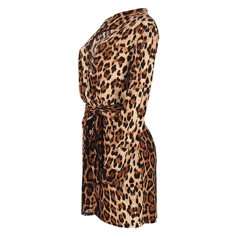 Leopard Print Long Sleeve V-Neck Irregular Dress