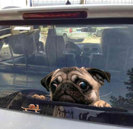 S-53 Pug Watch Snail 3D Car Window Automobile Sticker Cartoon Pet Notebook