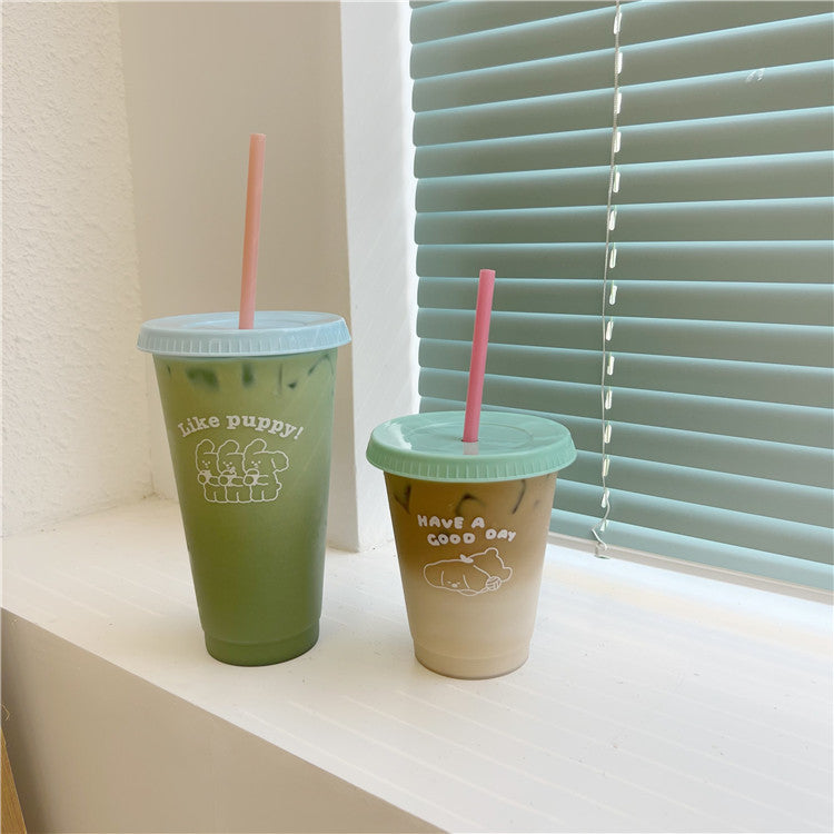 Niche Cartoon Summer Coffee Plastic Straw Cup