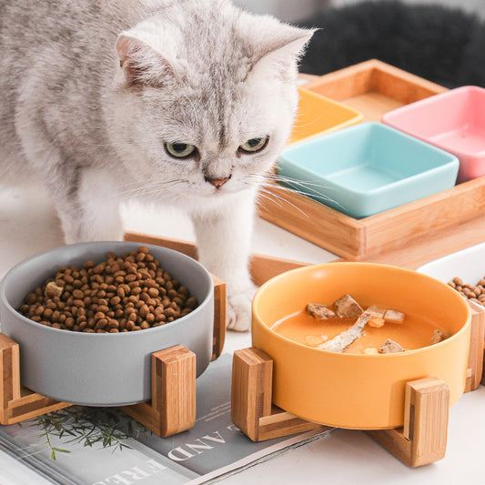 Cat Bowl Snack Plate Ceramic Wood Anti-Tip