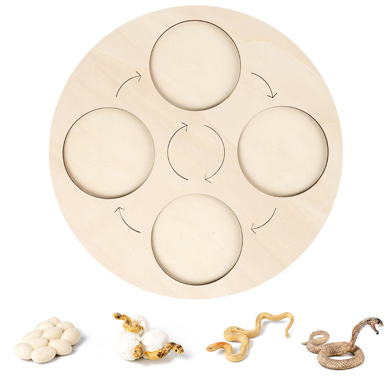 Montessori Growth Cycle Board Cycle Deduction Teaching Aids Tray Wooden