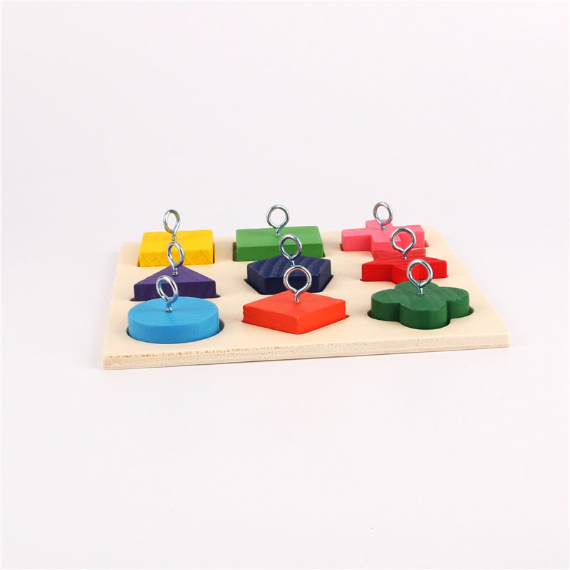 Parrot Training Toy 9 Color Wooden Blocks