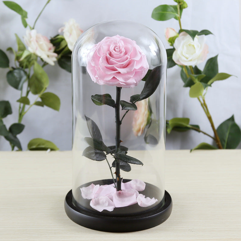 Preserved Flower Rose Finished Glass Cover Gift Box