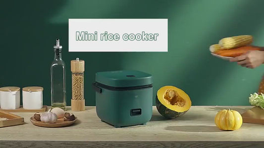 Rice Cooker Family Mini Small Single Kitchen