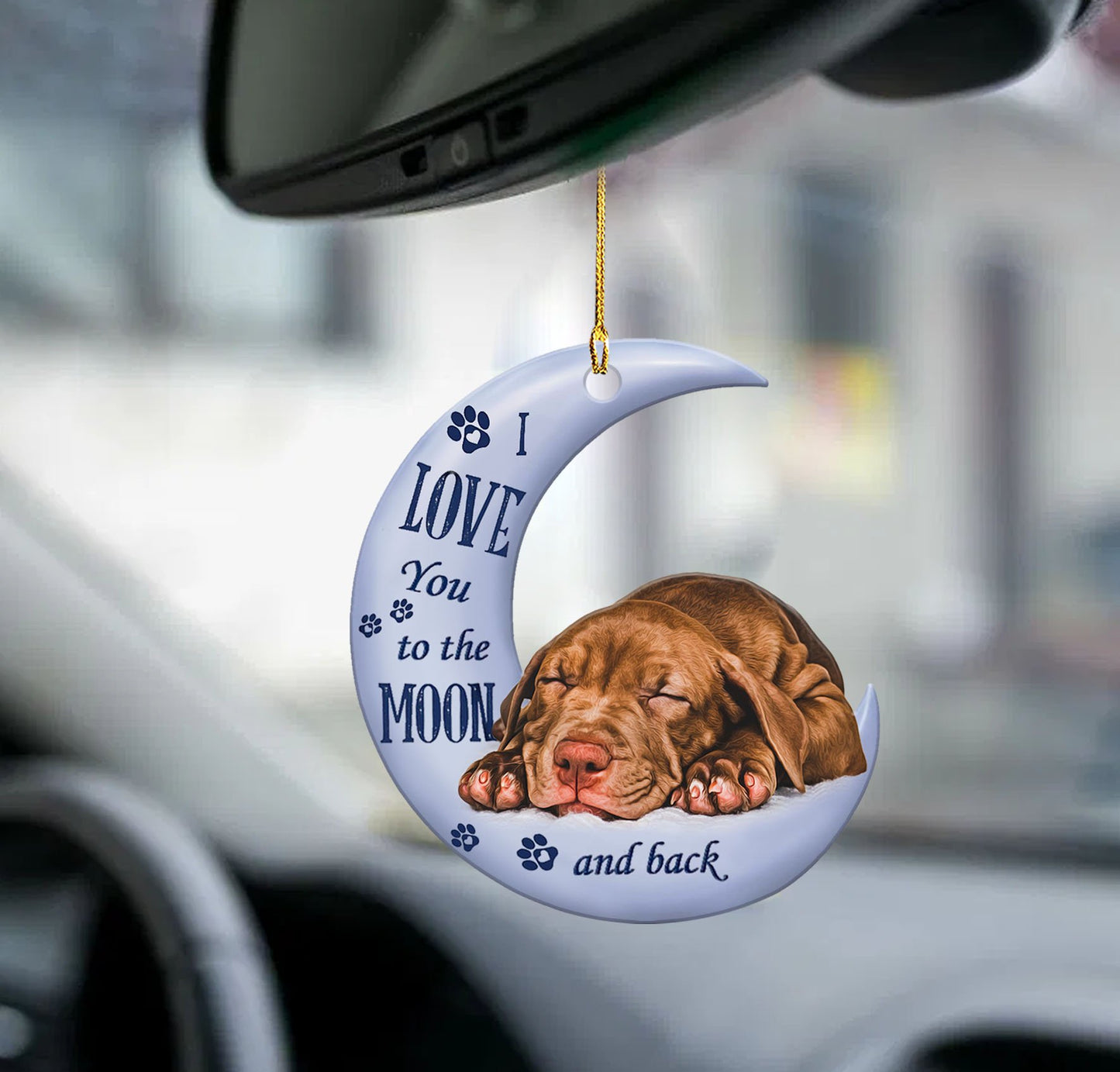 Car Pendant Sleeping Dog Angel Home Decor Acrylic Showcase Hanging Ornaments For Doors