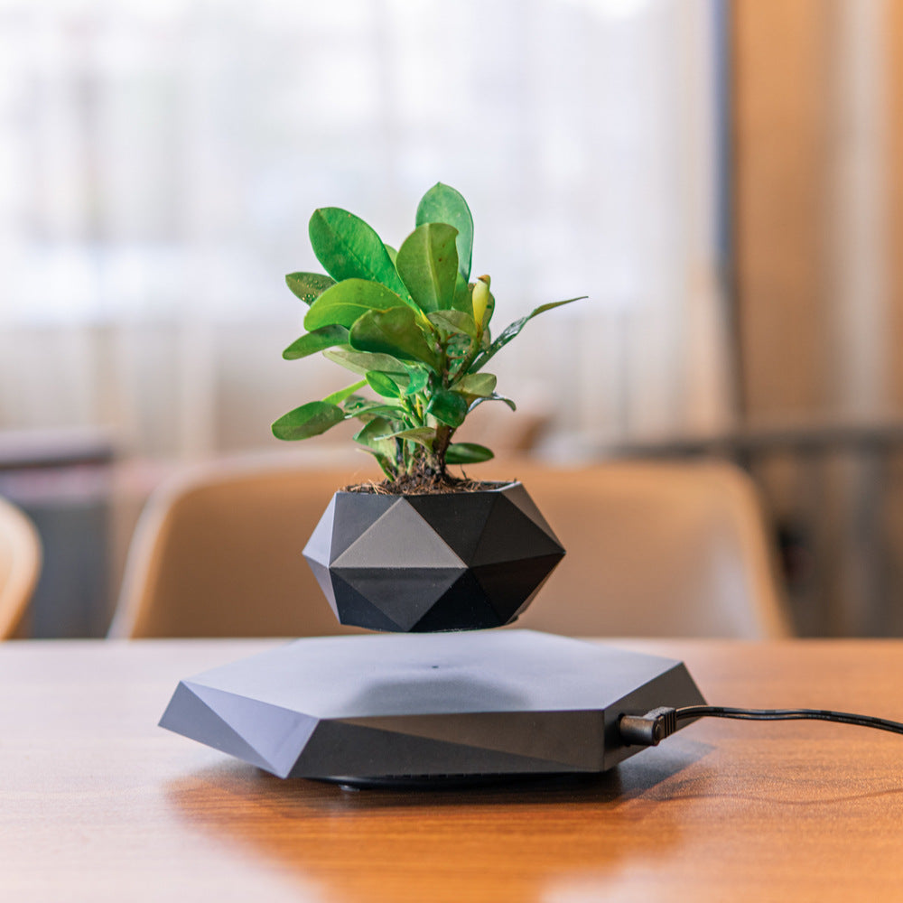 Floating Magnetic Levitating Flower Pot Bonsai