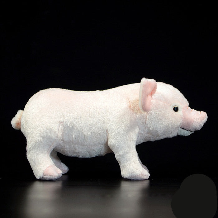 White Cute Domestic Pig Plush Toy