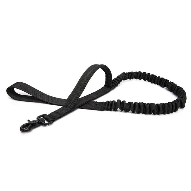 Pet Dog Leash With Highly Reflective Threads