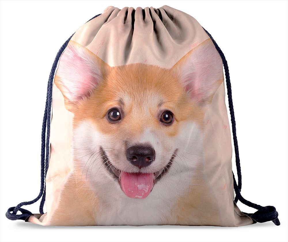 Outdoor Wear-resistant Oxford Cloth Digital Printing Cartoon Backpack Female Corgi Drawstring Pocket