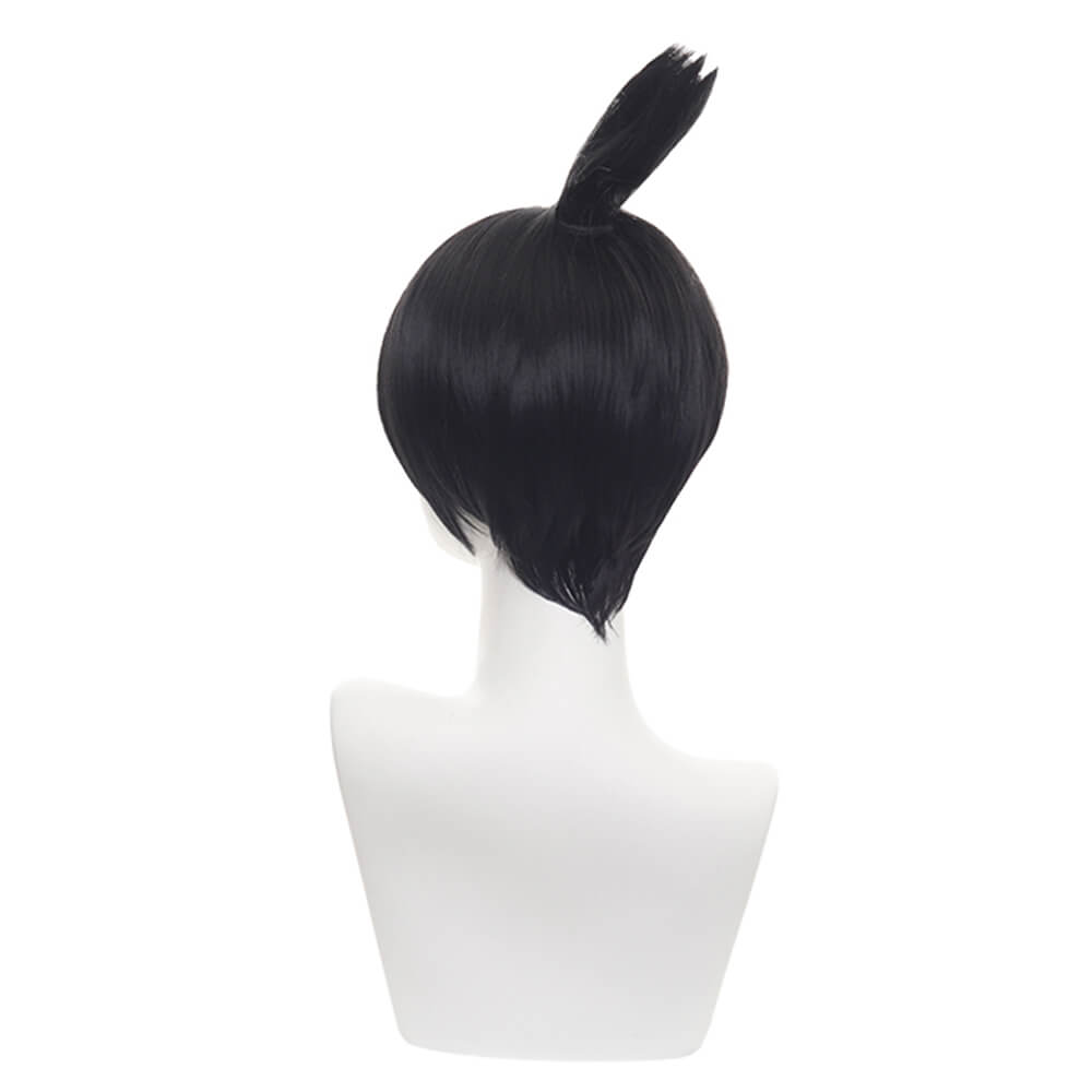 One Soaring Ponytail Cosplay Short Wig