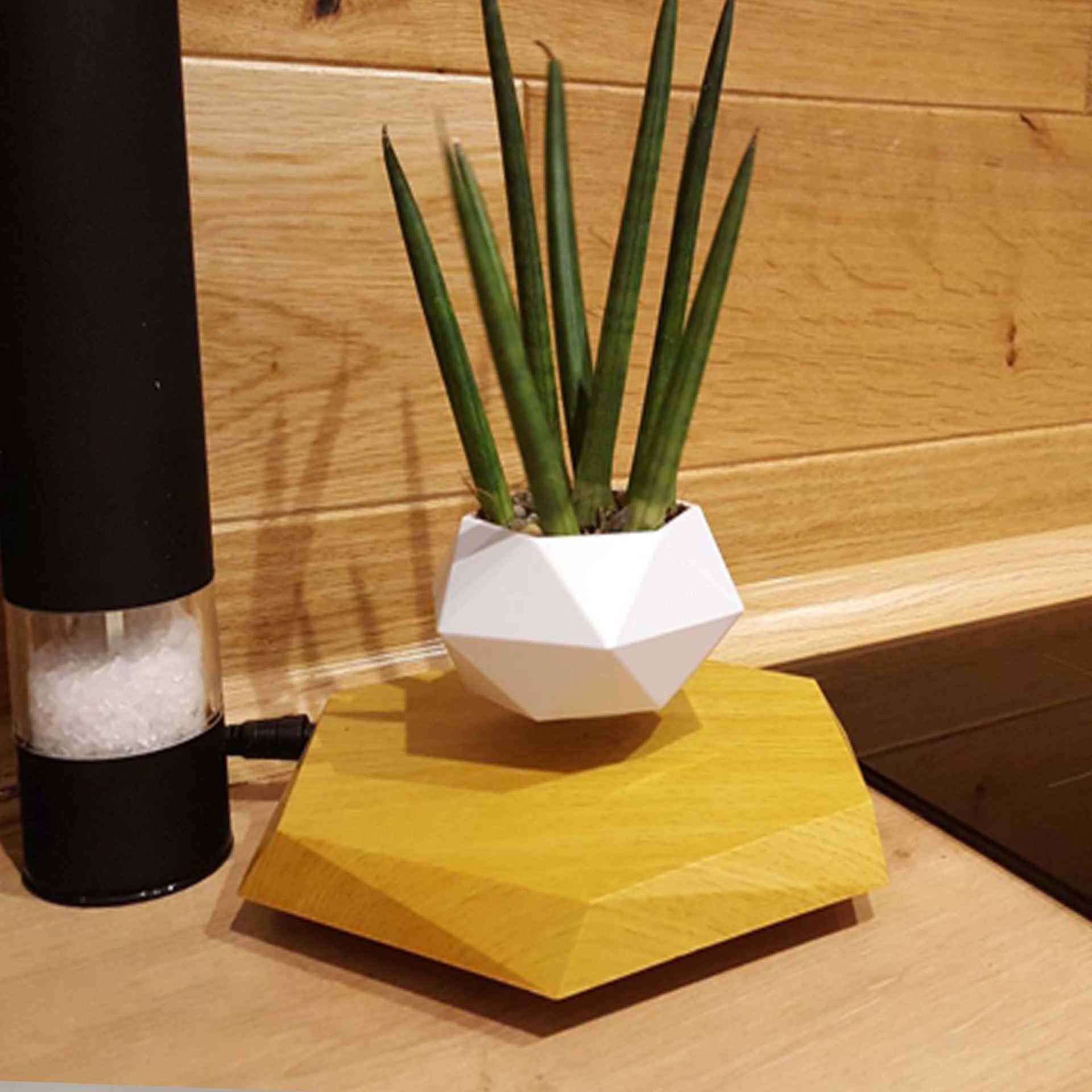 Floating Magnetic Levitating Flower Pot Bonsai